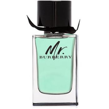 BURBERRY Mr. Burberry EdT 150 ml (5045456773318)