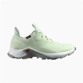 Salomon Alphacross 3 GTX W Spray/Wht/Wroug (SPTsal1131nad)