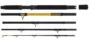 Wft prút never crack catfish boat 2,4 m 250-1000 g