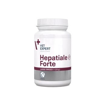 Hepatiale Forte Large Breed 40 tbl