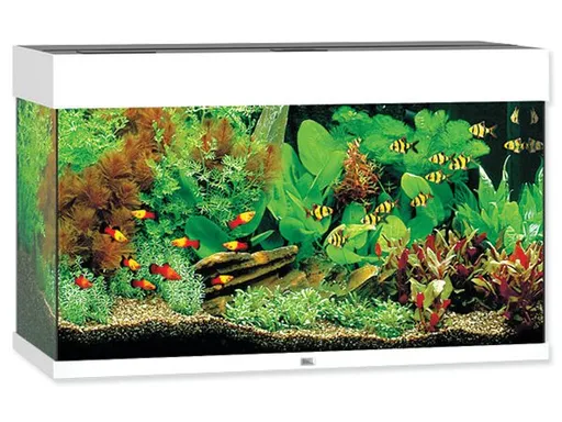 Juwel Rio 125 LED akvarijný set biely 81 x 36 x 50 cm 125 l