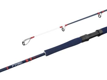 Delphin prút fyord big boat 2,2 m 300-400 g