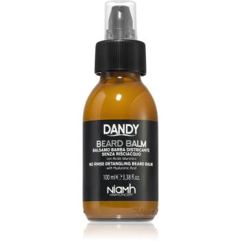 DANDY Beard Balm balzam na fúzy 100 ml