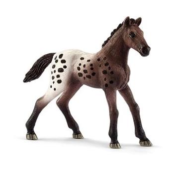 Schleich 13862 - Appalooské žriebä (4055744027895)