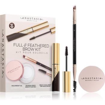 Anastasia Beverly Hills Full & Feathered Brow Kit Mini sada na obočie odtieň Ebony