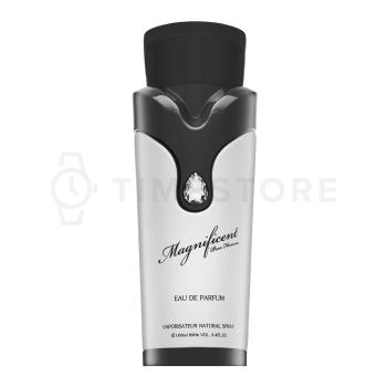 Armaf Magnificent Pour Homme parfémovaná voda pre mužov 100 ml   - 30 dní na vrátenie tovaru, Garancia originality