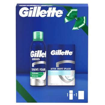 Gillette Kozmetická sada Series