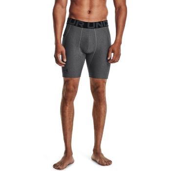 Under Armour UA HG Armour Shorts-GRY - L