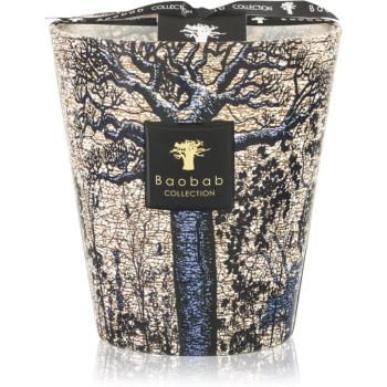 Baobab Collection Sacred Trees Seguela vonná sviečka 16 cm