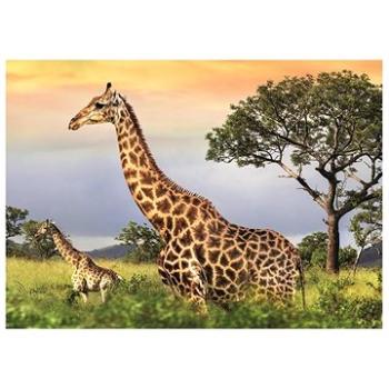 Dino - Žirafia rodina, 1 000, puzzle (8590878532946)