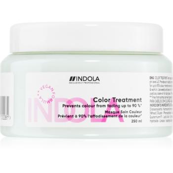Indola Color Treatment intenzívna vlasová kúra na ochranu farby 250 ml