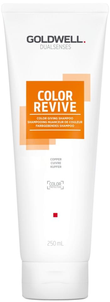 Goldwell Šampón na oživenie farby vlasov Copper Dualsenses Color Revive ( Color Giving Shampoo) 250 ml