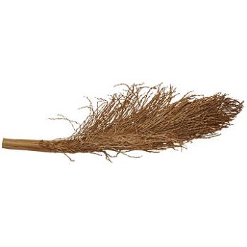 Lucky Reptile Palm Torch 30 – 40 cm (4040483640719)