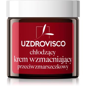 Uzdrovisco Cica Cooling Strengthening Anti-Wrinkle Cream pleťový krém proti vráskam s chladivým účinkom 50 ml