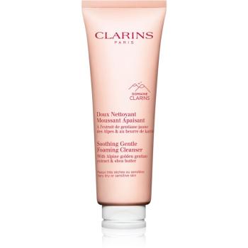 Clarins Cleansing Soothing Gentle Foaming Cleanser jemná odličovacia pena s upokojujúcim účinkom 125 ml