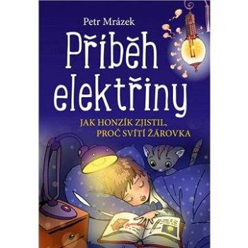 Příběh elektřiny (978-80-266-1015-1)