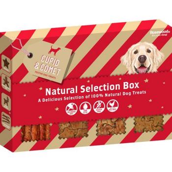 ROSEWOOD Box dog snacks maškrty pre psov 175 g