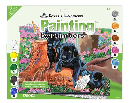 R&L - Maľovanie podľa čísel pre deti ťažkosti v záhrade, 29 x 39 cm