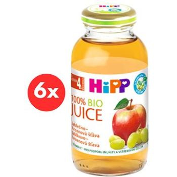 HiPP BIO Jablkovo-hroznová šťava – 6× 200 ml (9062300402497)