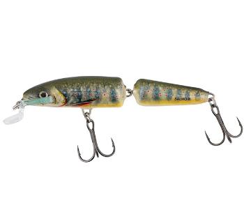 Salmo wobler fanatic floating lake charr 7 cm