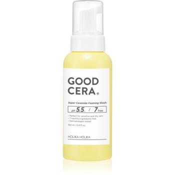 Holika Holika Good Cera exfoliačná čistiaca pena s ceramidmi 160 ml