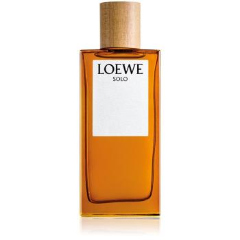 Loewe Solo toaletná voda pre mužov 100 ml