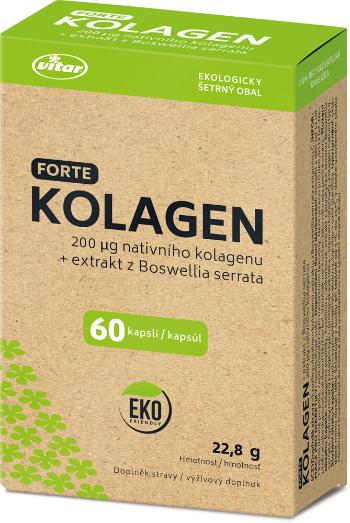 VITAR EKO Kolagén Forte 60 kapsúl