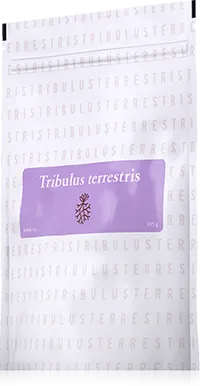 Tribulus Terrestris (kotvičník zemný) čaj