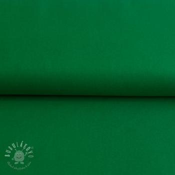 CANVAS green