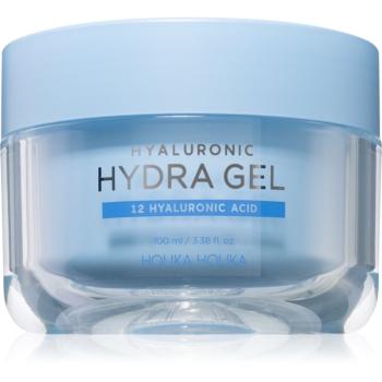 Holika Holika Hyaluronic hydratačný gélový krém s kyselinou hyalurónovou 100 ml