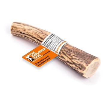Explorer dog Žuvací jelení paroh M tvrdý (8594202818287)