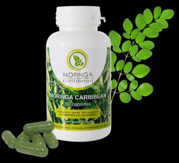 MORINGA CARIBBEAN Standard 60 kapsúl