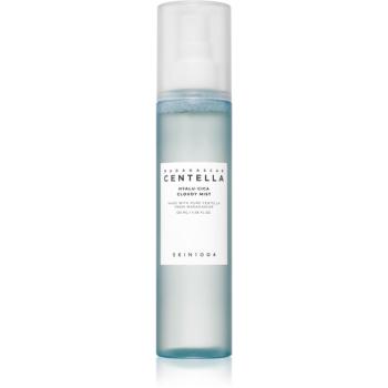 SKIN1004 Madagascar Centella Hyalu-Cica Cloudy Mist hydratačná hmla s upokojujúcim účinkom 120 ml