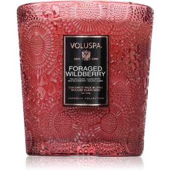 VOLUSPA Japonica Foraged Wildberry vonná sviečka 255 g