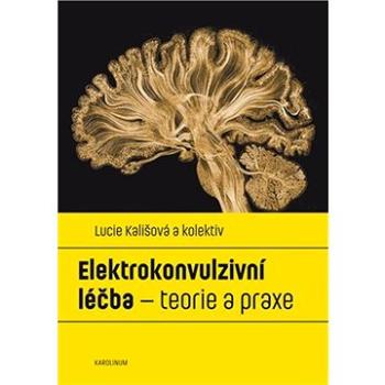 Elektrokonvulzivní léčba (9788024643564)