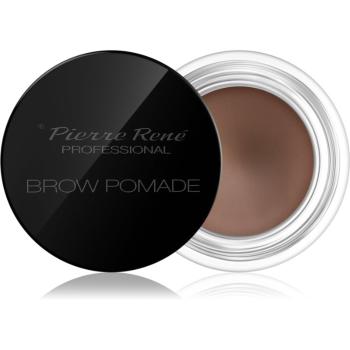 Pierre René Eyes Eyebrow pomáda na obočie odtieň 01 Light Brown 4 g