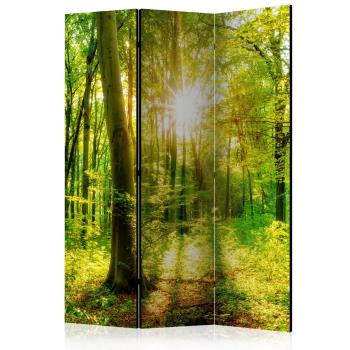 Paraván Forest Rays Dekorhome 135x172 cm (3-dielny)