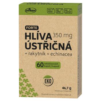 VITAR EKO Hliva ustricová + rakytník + echinacea 60 kapsúl