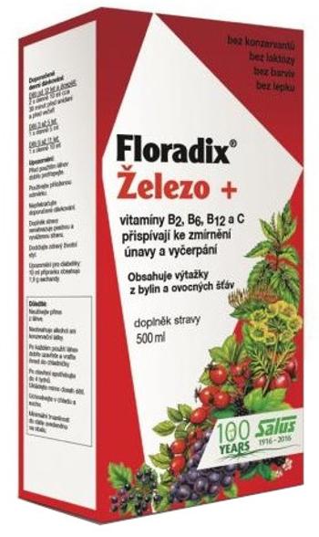 SALUS Floradix Železo - tekutá forma 500 ml