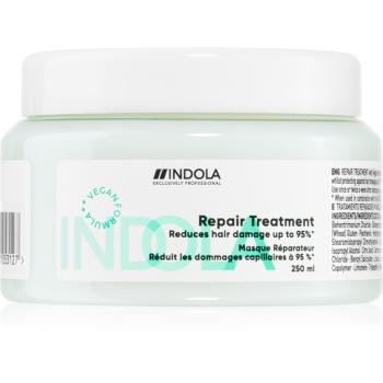Indola Repair Treatment vyživujúca starostlivosť pre poškodené vlasy 250 ml