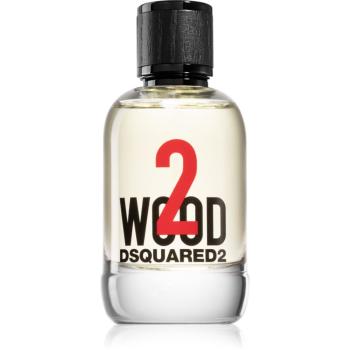 Dsquared2 2 wood toaletná voda pre mužov 100 ml