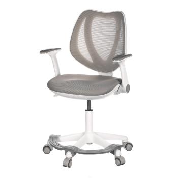 Autronic KA-C806 GREY Scaun de birou, gri