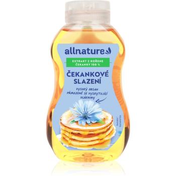 Allnature Čakankové sladenie prírodné sladidlo 250 ml