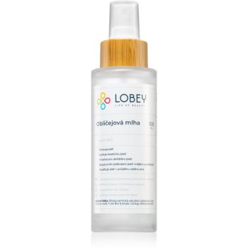 Lobey Skin Care Obličejová Mlha tonizačná pleťová hmla 100 ml