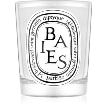 Diptyque Baies vonná sviečka 190 g