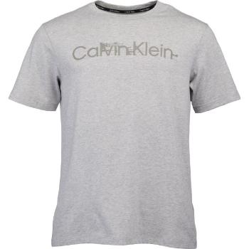 Calvin Klein ESSENTIALS PW S/S Pánské tričko, šedá, velikost