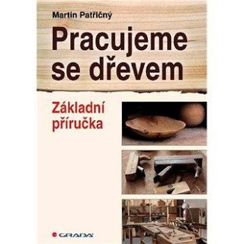 Pracujeme se dřevem (978-80-247-3581-8)