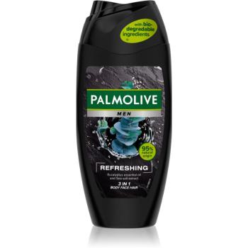 Palmolive Men Refreshing sprchový gél pre mužov 2 v 1 pre mužov 250 ml