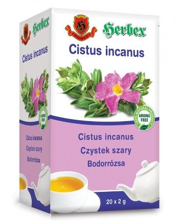 HERBEX Cistus incanus (Divoká ruža) 20 x 2 g