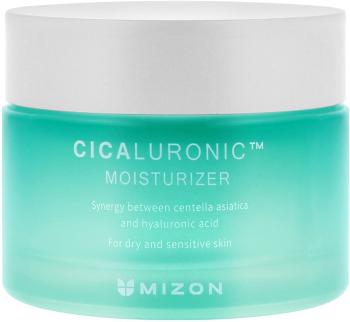 MIZON Cicaluronic Moisturizer - Pleťový krém proti vráskam 50 ml